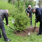 Starosta města Miroslav Chlubna (zcela vpravo) spolu s místostarostou města Miroslavem Koláčkem a Markem Kostialem z ČEZ Teplárenské sází douglasku tisolistou.