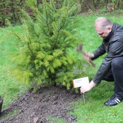 Marek Kostial, zástupce společnosti ČEZ Teplárenská instaluje cedulku s názvem stromu.